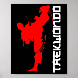 Poster Lutador de Taekwondo Artes Marciais Chutes Livres