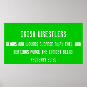 Póster Lutadores irlandeses