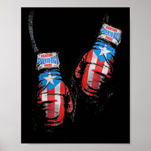 Poster Luvas de Boxe da Bandeira Americana Usa Academia B