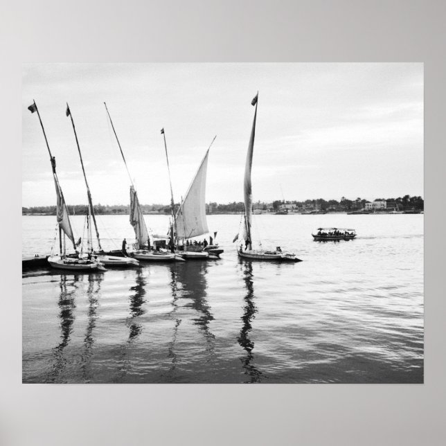 Póster Luxor Egypt, Feluccas no Nilo (Frente)