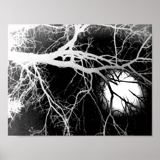 Póster Luz (Frente)