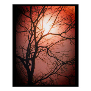 Póster Luz
