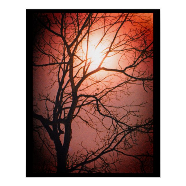 Póster Luz (Frente)
