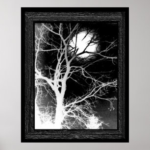 Poster Luz
