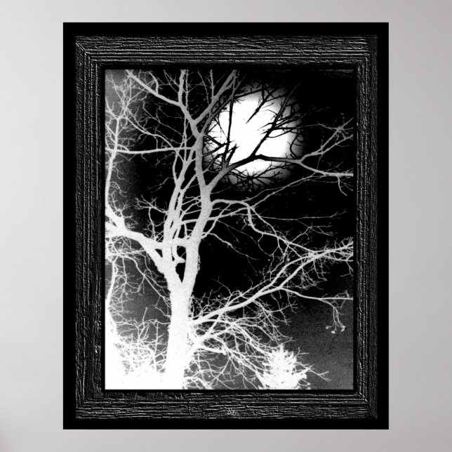 Poster Luz (Frente)