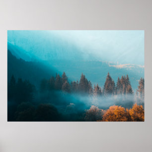 Poster Luz brilhante na floresta nebulosa de outono
