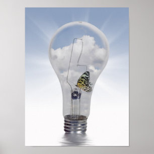 Poster Luz da vida