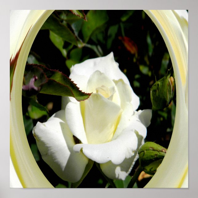 Poster &Luz de Amor..... (Frente)