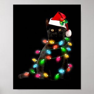 Poster Luz de Natal de Gato Presente Divertido de Natal p