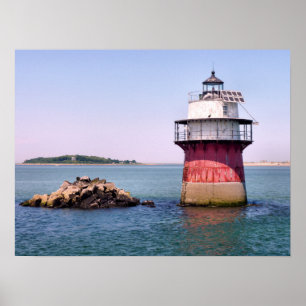 Poster Luz do inseto