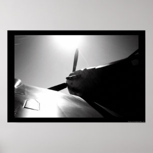 Poster Luz do sol da cabeça-quente