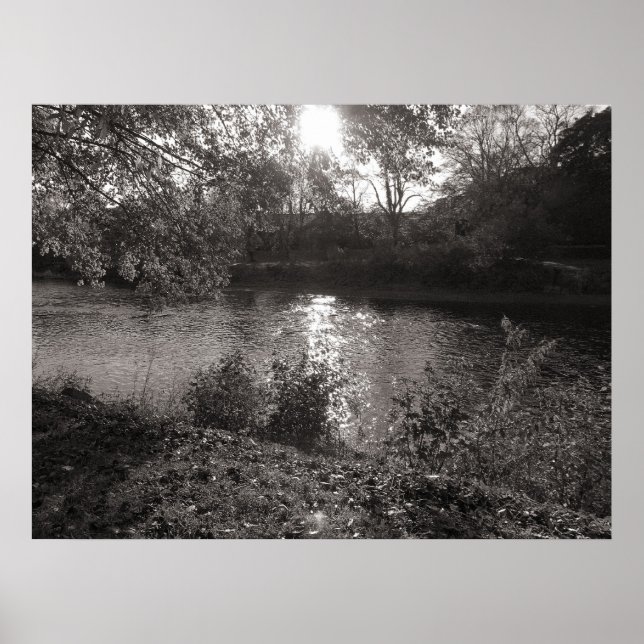 Póster Luz do sol sobre os Taff, Bute Park, Cardiff (Frente)