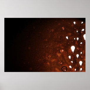Póster Luz e obscuridade