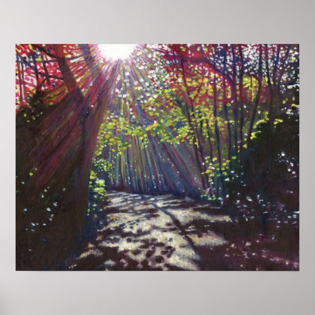 Póster Luz espalhada 2013 (Frente)