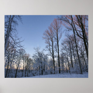 Poster Luz I da Manhã de inverno