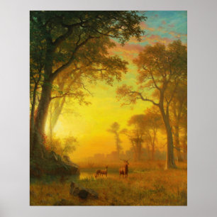 Poster Luz na Floresta