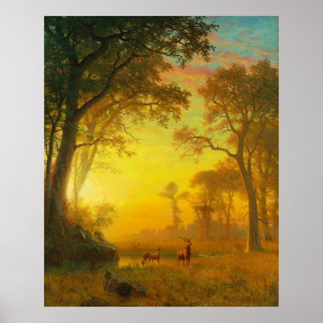 Poster Luz na Floresta (Frente)