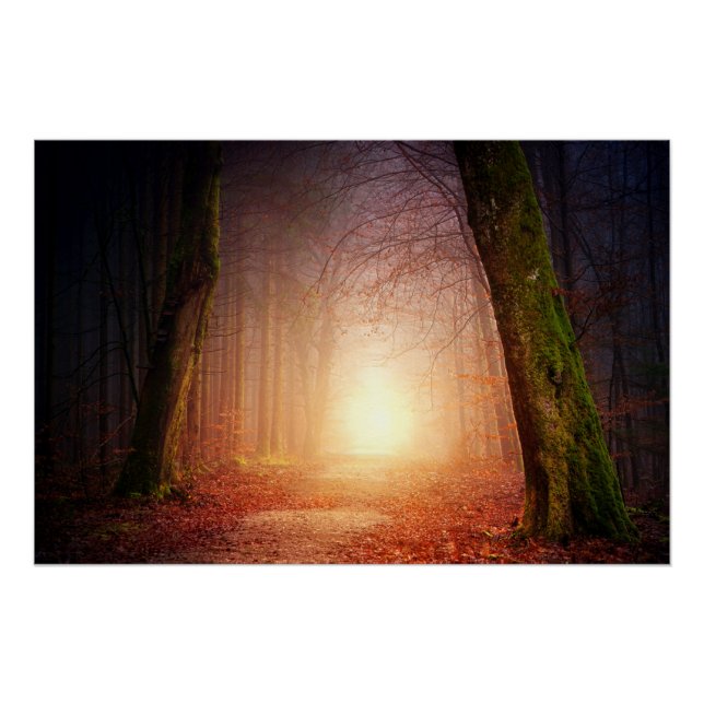 Póster Luz no Fim da Floresta (Frente)