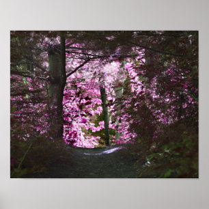 Poster Luz No Fim Do Caminho Natureza
