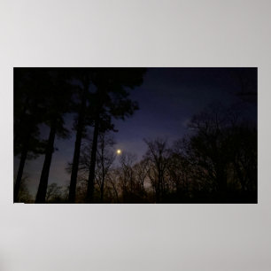 Poster Luz Noturna,