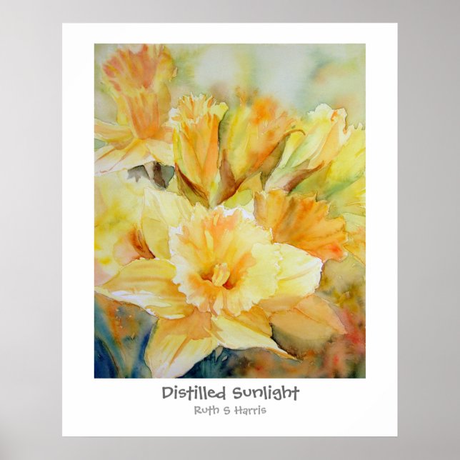 Poster Luz solar destilada (Frente)