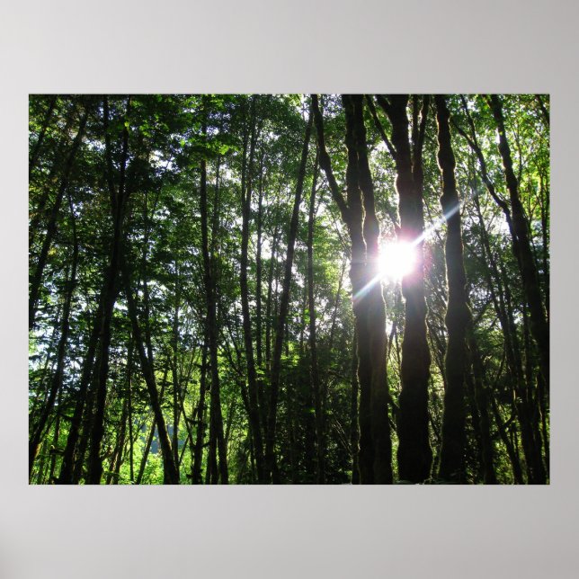 Póster Luz Verde... (Frente)