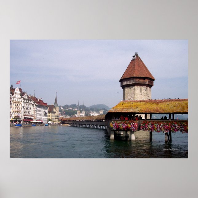 Poster luzerna (Frente)