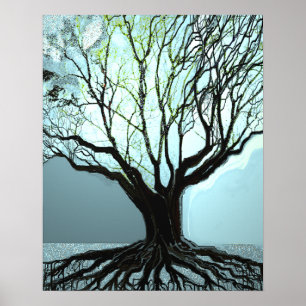 Poster Luzes de Raízes Azuis