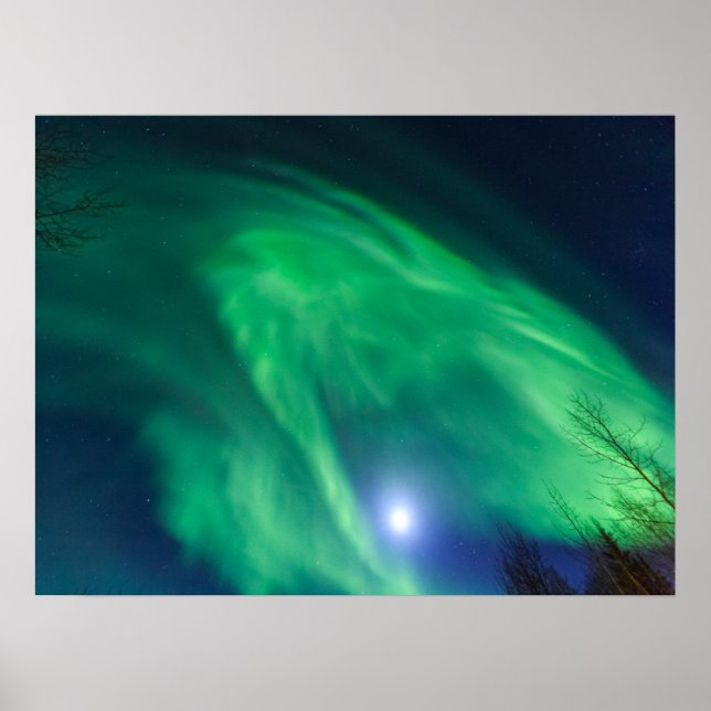 Poster Luzes Nortes Aurora Borealis | Fairbanks (Frente)