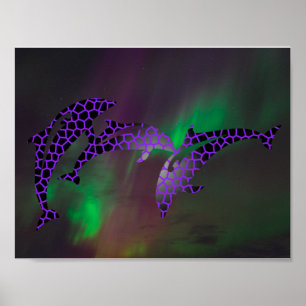 Poster Luzes nortes Golfinhos Paisagens Paisagens Paisage