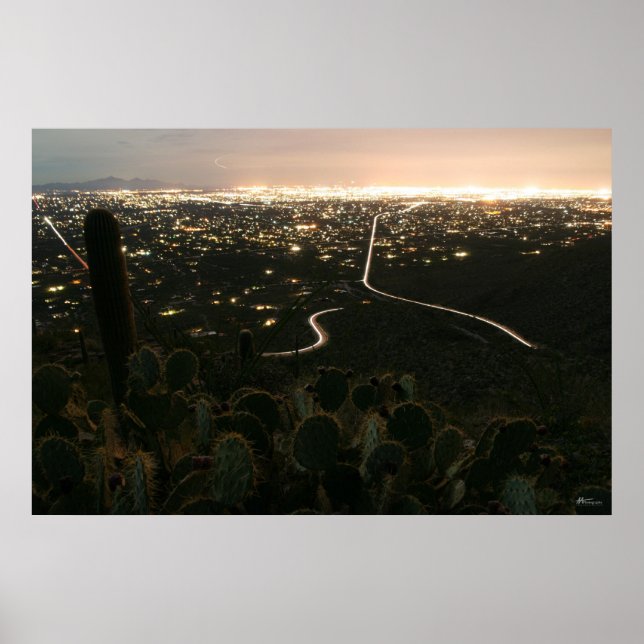 Póster Luzes Noturnas de Cactus (Frente)