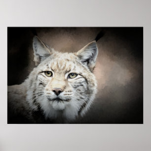 Póster Lynx