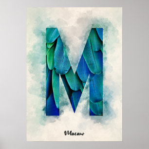 Poster M é para Macaw