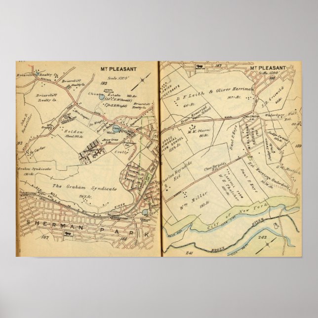 Póster M. Pleasant, Nova Iorque 3 (Frente)