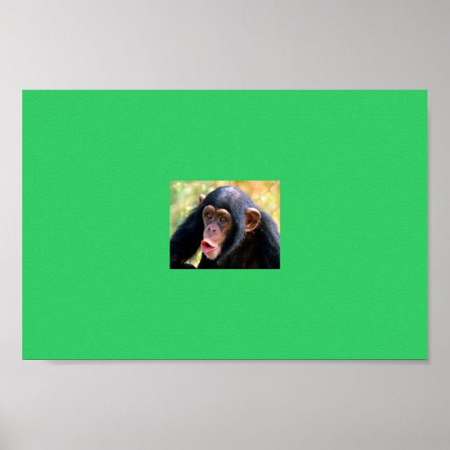 Póster macaco (Frente)