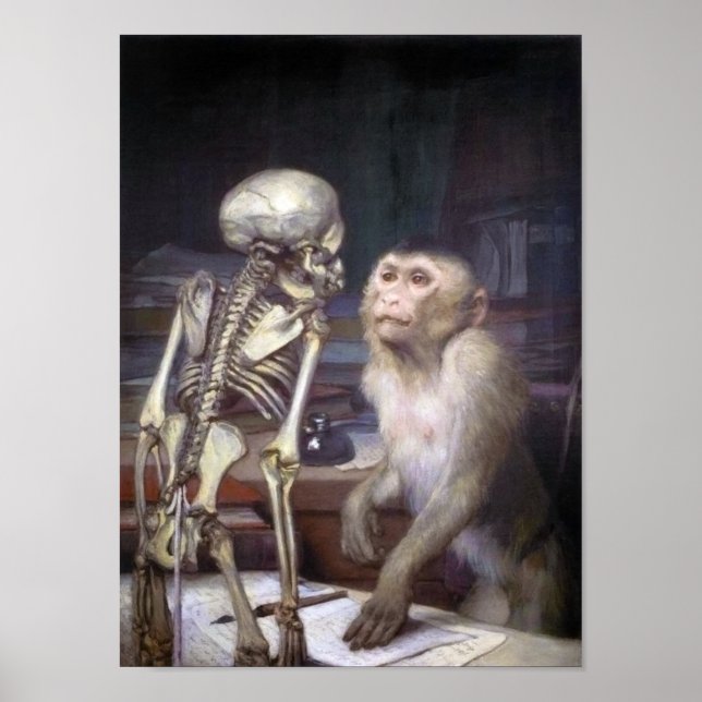 Póster Macaco antes do esqueleto (Frente)
