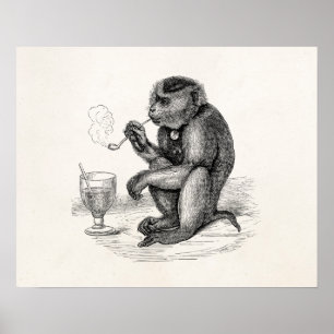 Póster Macaco Antigo Fumando um Cachimbo Macacos Animal