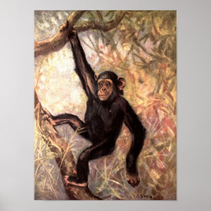 Poster Macaco Chimpanzé por CE Swan, Animais Selvagens Vi