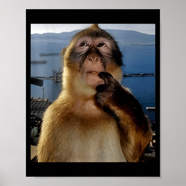 Poster Macaco Curioso Meme Engraçado de Macaco Pensativo  (Frente)