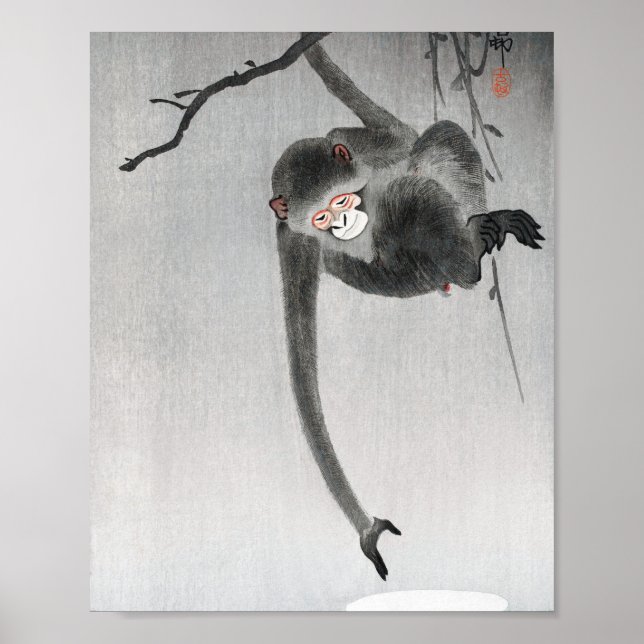 Poster Macaco e reflexão lua (Frente)