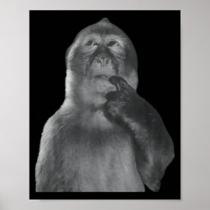 Poster Macaco Pensante Divertido Meme Macaco Curioso Rota