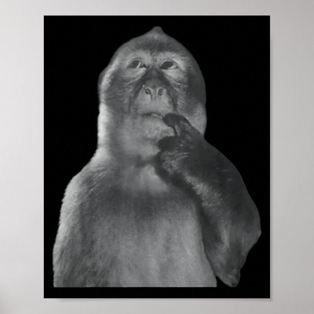 Poster Macaco Pensante Divertido Meme Macaco Curioso Rota (Frente)