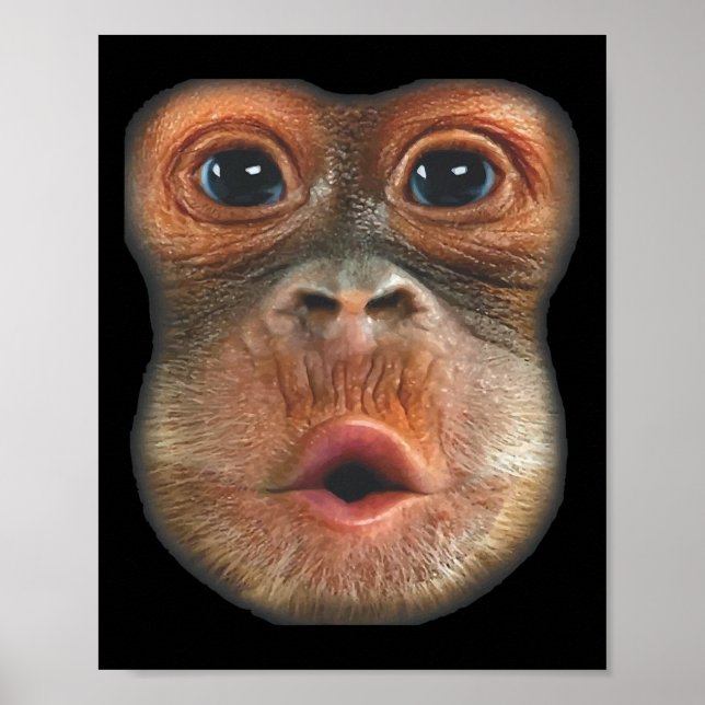 Poster Macaco soprando a cara da barriga  (Frente)