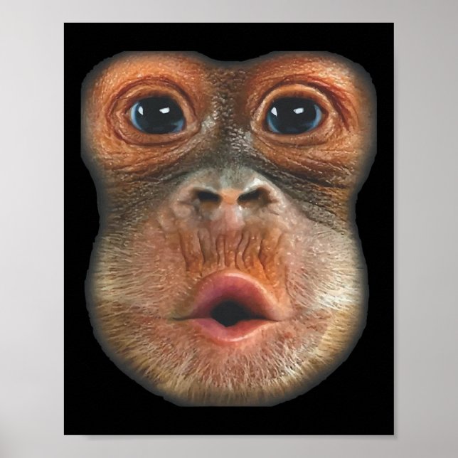 Poster Macaco soprando o rosto da barriga (Frente)