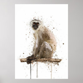 Poster Macaco-vervet