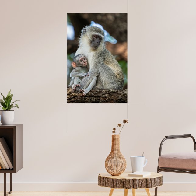Poster Macaco Vervet Expressivo na África (Sala de Estar 3)