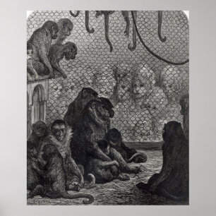 Póster Macacos de Londres