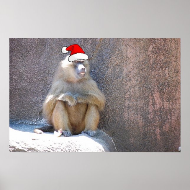 Póster Macacos e babuínos de Natal (Frente)