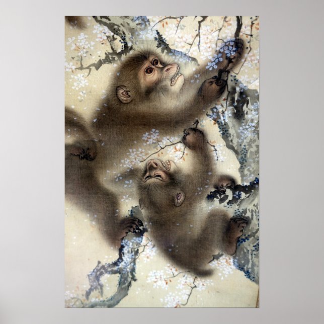 Poster Macacos Mori Soltos em uma árvore florescente (Frente)