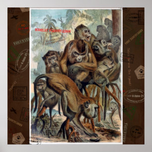 Poster Macaques para o viagem responsável